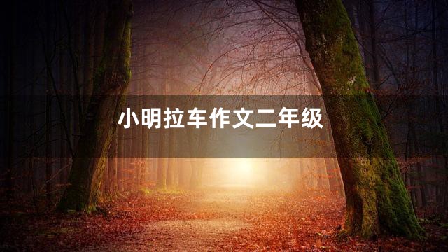小明拉车作文二年级