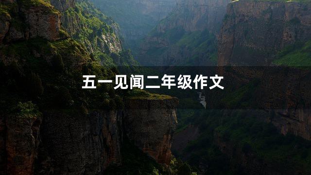 五一见闻二年级作文