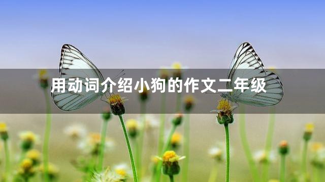 用动词介绍小狗的作文二年级