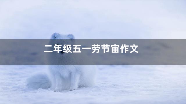 二年级五一劳节宙作文