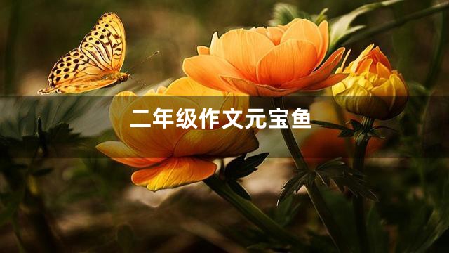 二年级作文元宝鱼
