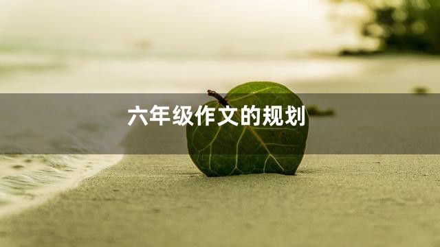 六年级作文的规划