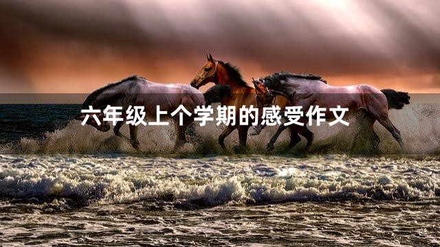 六年级上个学期的感受作文