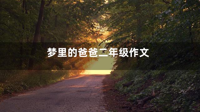 梦里的爸爸二年级作文