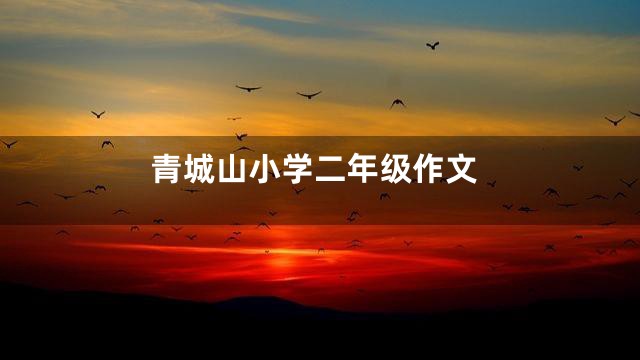 青城山小学二年级作文