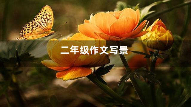 二年级作文写景