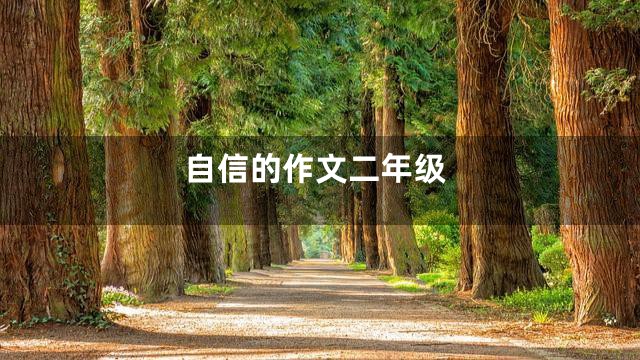 自信的作文二年级