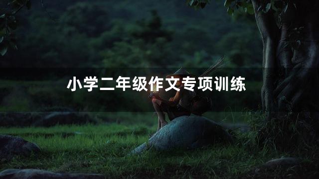 小学二年级作文专项训练