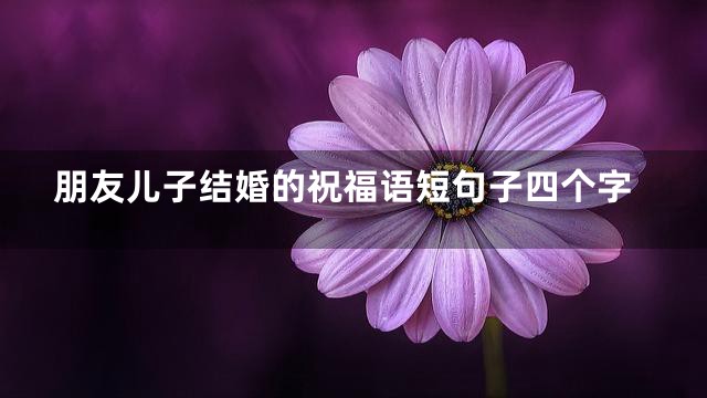 朋友儿子结婚的祝福语短句子四个字
