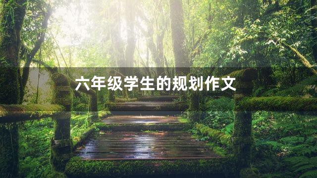 六年级学生的规划作文