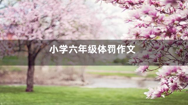 小学六年级体罚作文