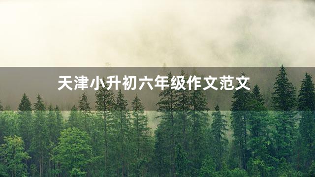 天津小升初六年级作文范文