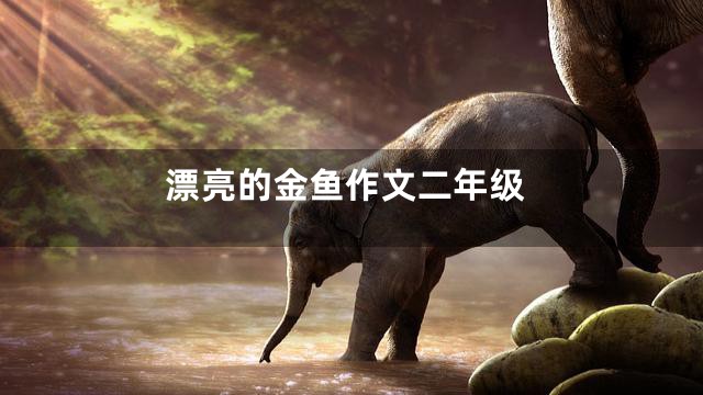 漂亮的金鱼作文二年级