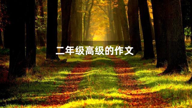 二年级高级的作文