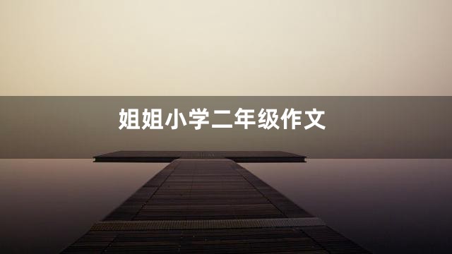 姐姐小学二年级作文