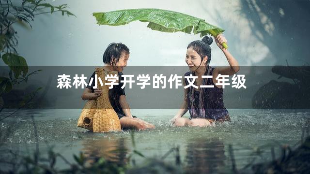 森林小学开学的作文二年级