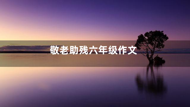 敬老助残六年级作文