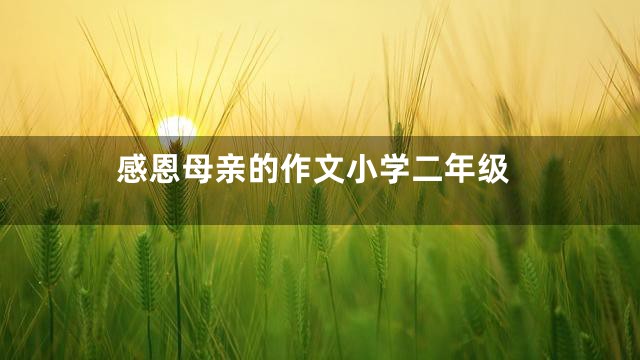 感恩母亲的作文小学二年级