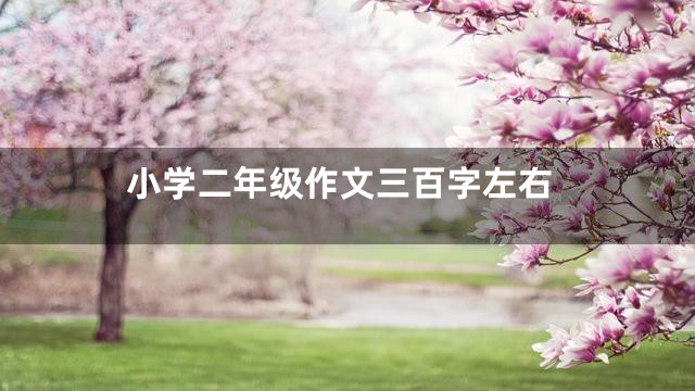 小学二年级作文三百字左右