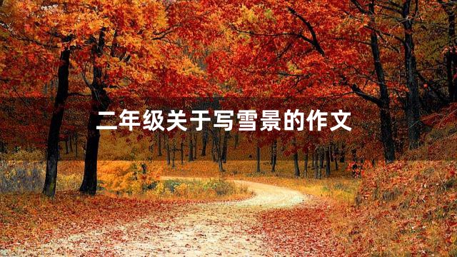 二年级关于写雪景的作文