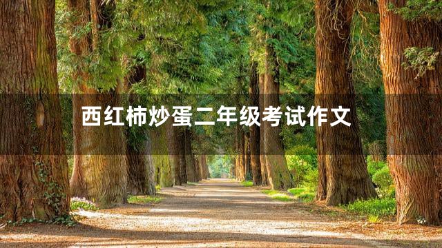 西红柿炒蛋二年级考试作文