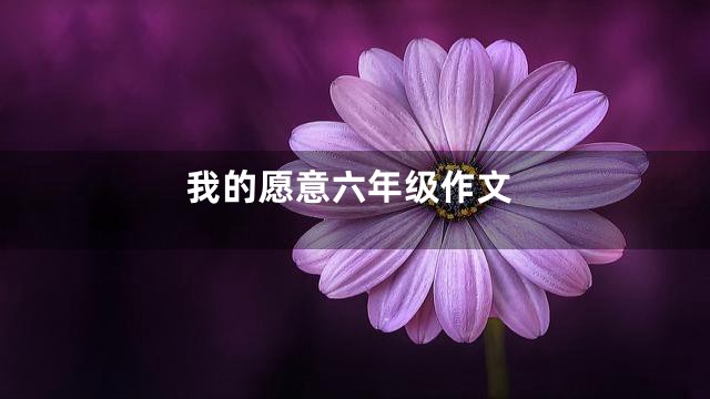 我的愿意六年级作文