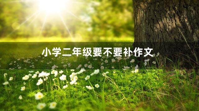 小学二年级要不要补作文