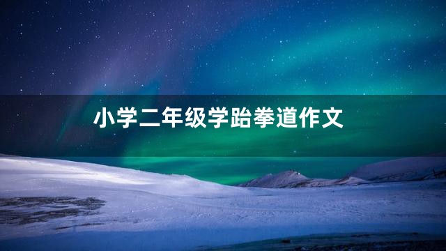 小学二年级学跆拳道作文