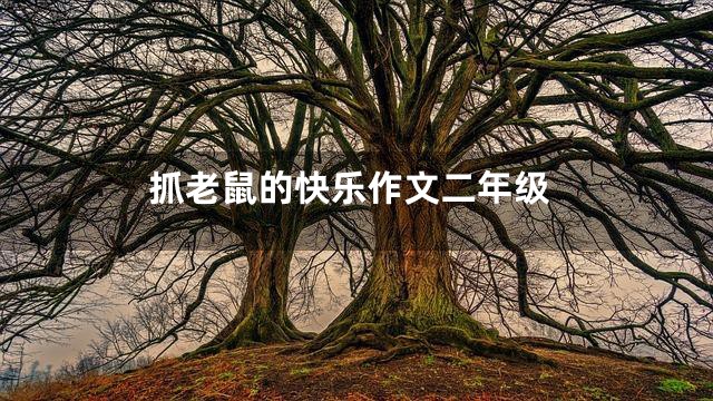 抓老鼠的快乐作文二年级