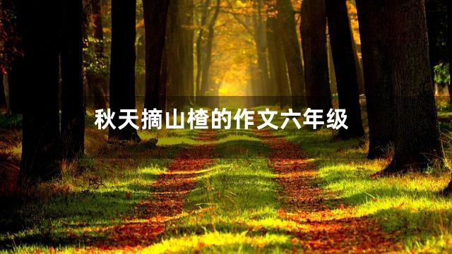 秋天摘山楂的作文六年级