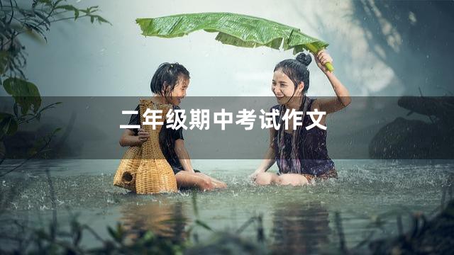 二年级期中考试作文