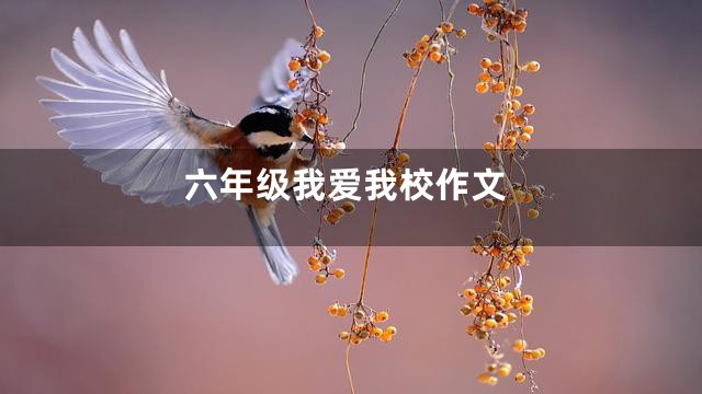 六年级我爱我校作文