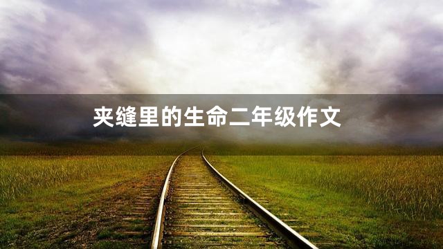 夹缝里的生命二年级作文