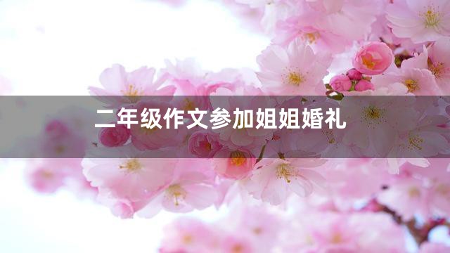 二年级作文参加姐姐婚礼