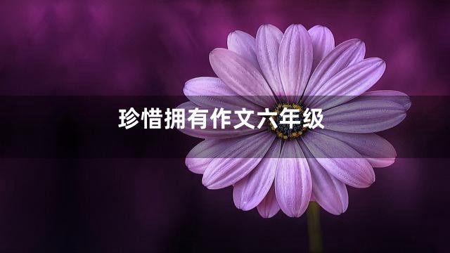 珍惜拥有作文六年级