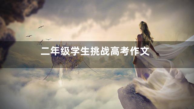 二年级学生挑战高考作文