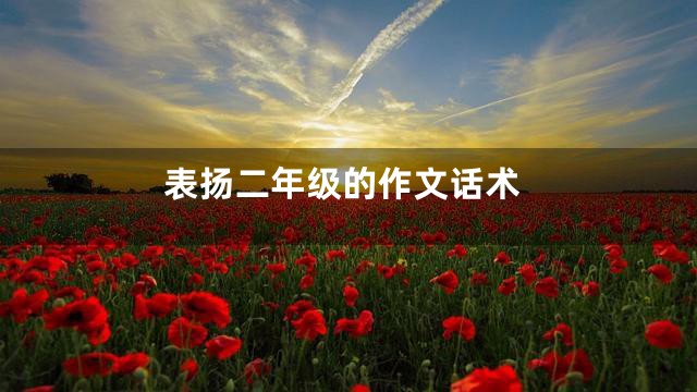 表扬二年级的作文话术