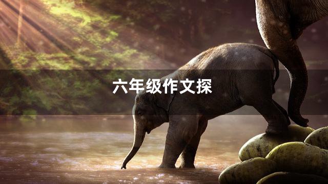 六年级作文探