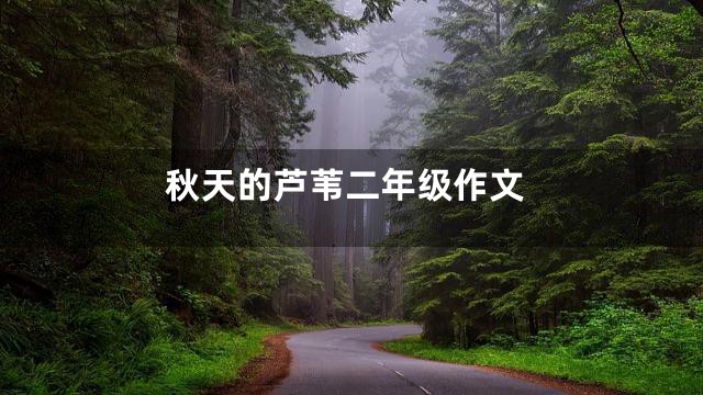 秋天的芦苇二年级作文
