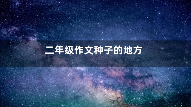 二年级作文种子的地方