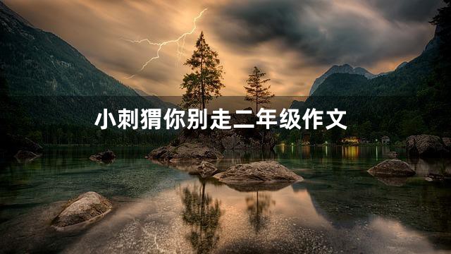 小刺猬你别走二年级作文