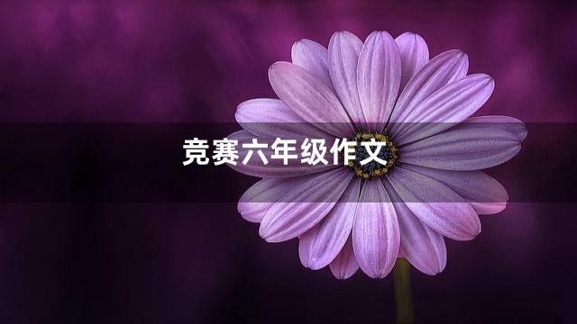 竞赛六年级作文