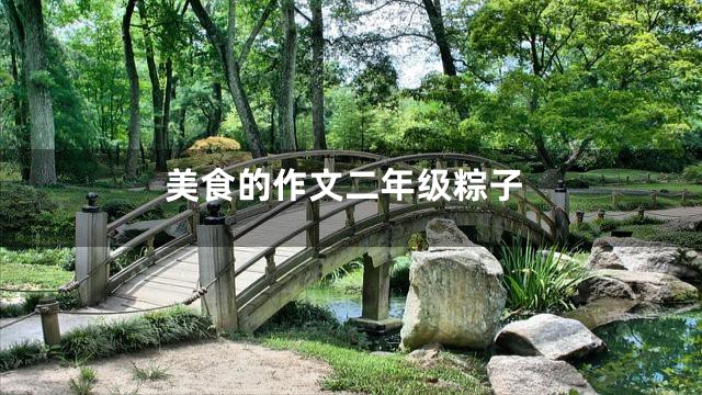 美食的作文二年级粽子