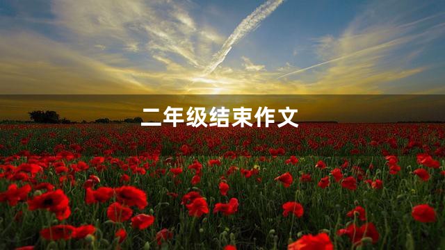 二年级结束作文