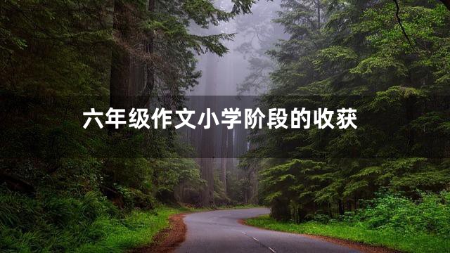 六年级作文小学阶段的收获