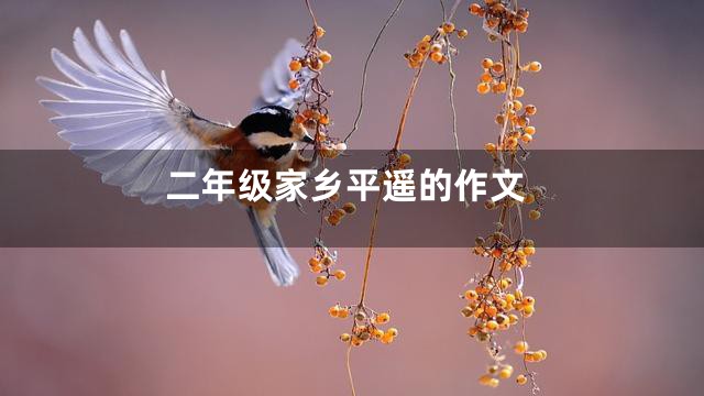 二年级家乡平遥的作文