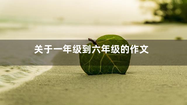 关于一年级到六年级的作文