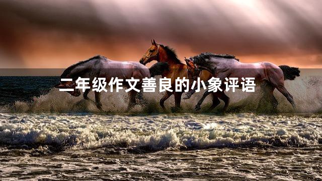 二年级作文善良的小象评语