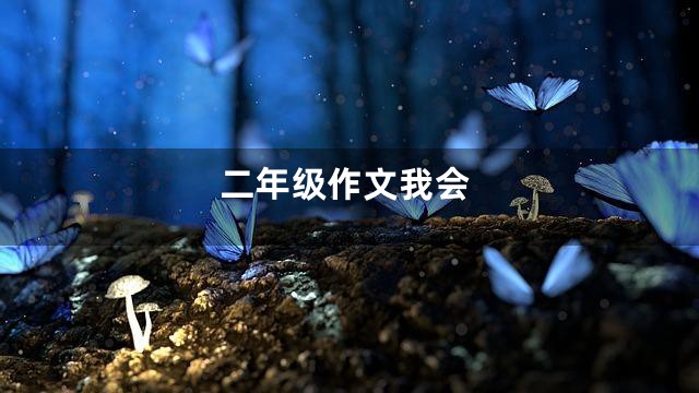 二年级作文我会