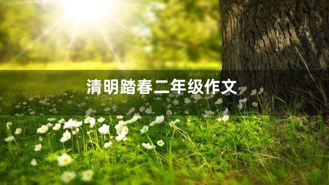 清明踏春二年级作文